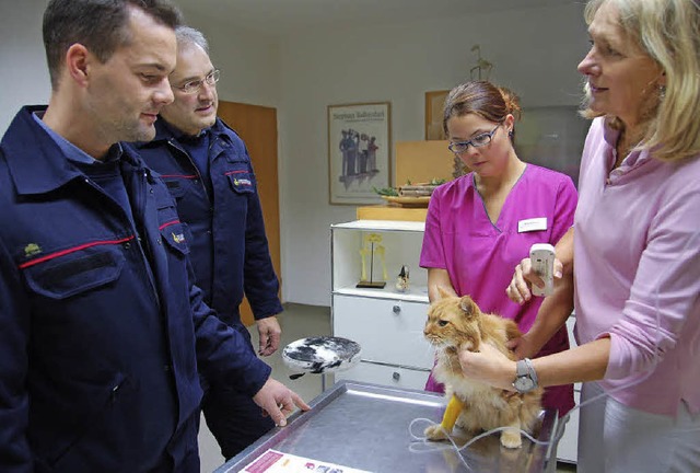 Die Tierrztin Beate Fischer-Wackes sc...r Hunde ihren Besitzern zurckbringen.  | Foto: Andrea Steinhart