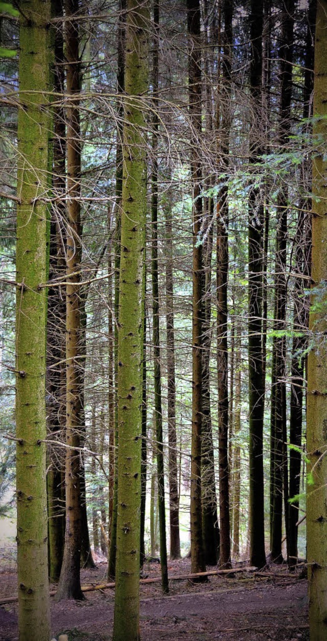 Geht es nach dem Kartellamt, wird auch...dkreis heftig durcheinandergewirbelt.   | Foto: Markus Donner