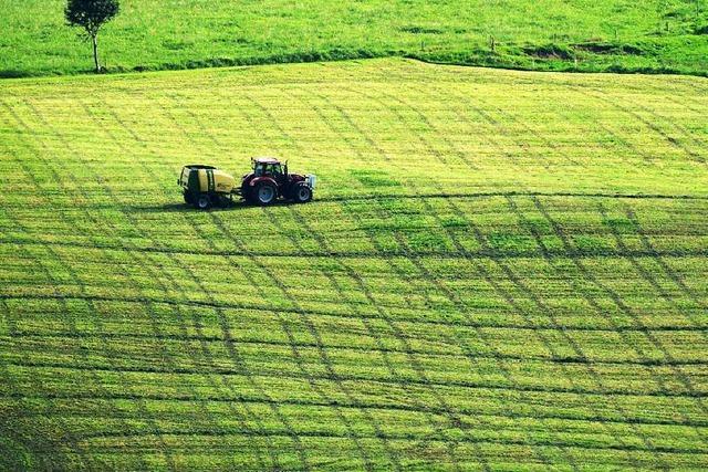 Sdbadens Landwirte frchten den Mindestlohn