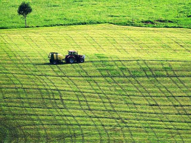 Sdbadens Landwirte bezweifeln, sie ih...an die Verbraucher weitergeben knnen.  | Foto: dpa