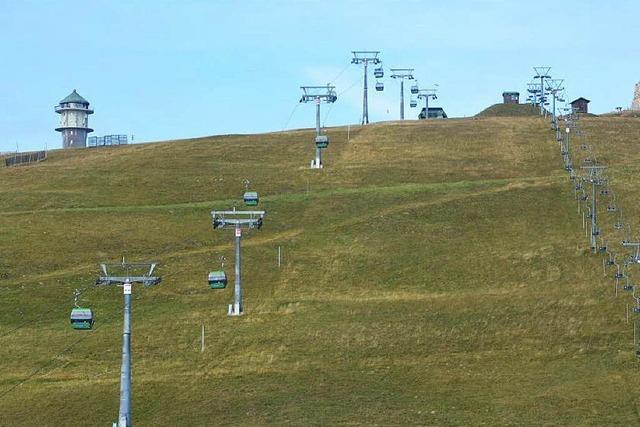 Skigebieten fehlt der Schnee - grüne Wiese statt weiße Piste