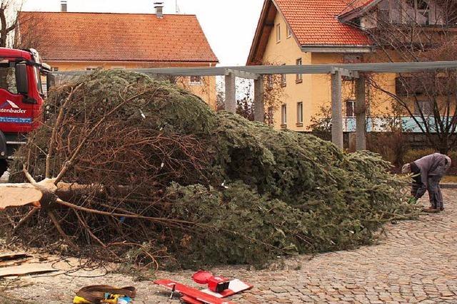 Sturm fegt Weihnachtsbaum auf Rathausplatz um