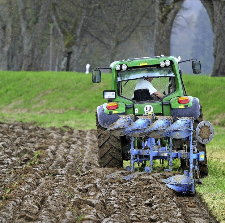 Nicht jedem recht: Grnlandumbruch   | Foto: dpa