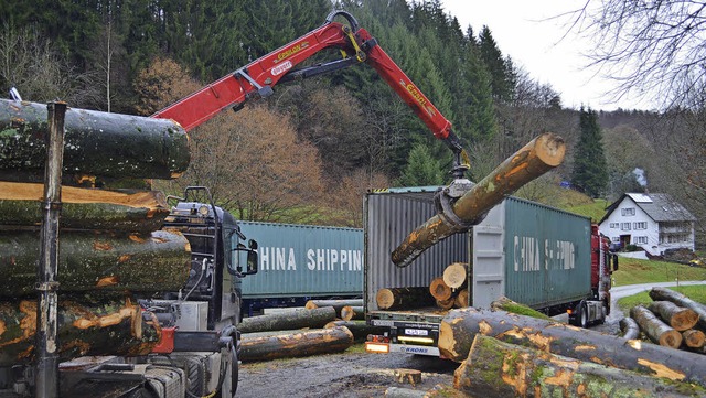 Sammel- und Verladeplatz im Spitzenbac...22;China Shipping&#8220; verfrachtet.   | Foto: Nikolaus Bayer