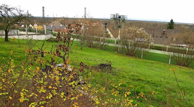 Das Grundstck fr den Kindergartenneu...t gegenber der Sonnenraingrundschule.  | Foto: Jutta Schtz