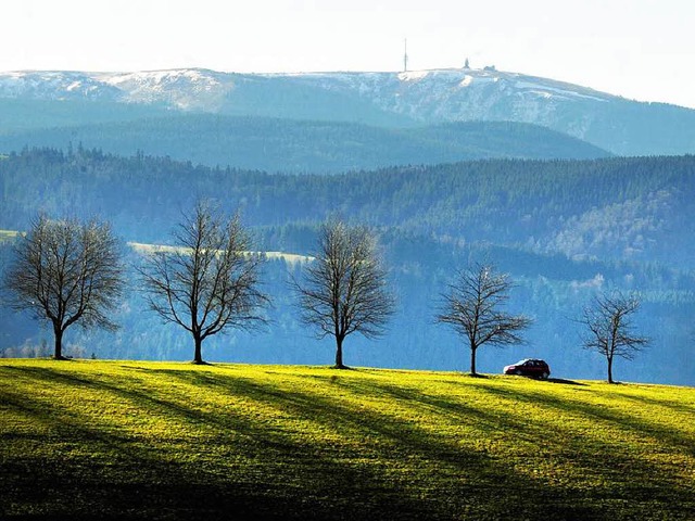 Grner Hochschwarzwald: Auf der Nordse...n Schwarzwald-Kulisse  bei St. Mrgen.  | Foto: dpa