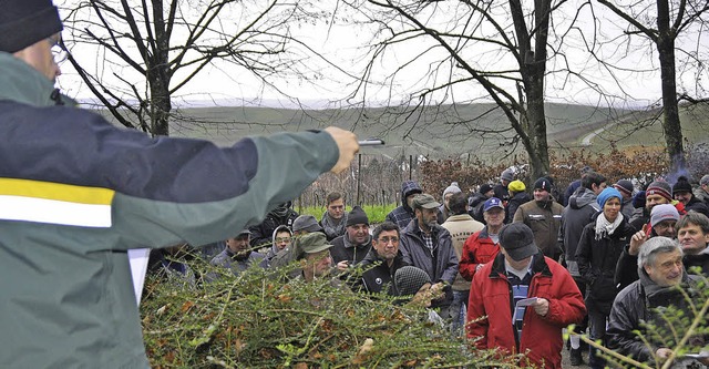 Andrang bei der Holzversteigerung in Pfaffenweiler.   | Foto: Julius Steckmeister