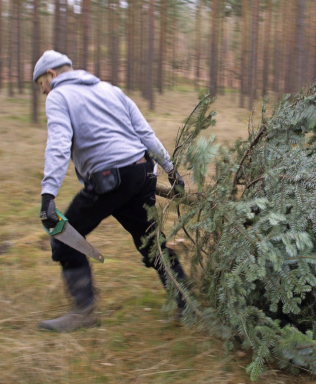 Kaum dass sie gefllt und aufgestellt ... Christbume bereits wieder entsorgt.   | Foto: dpa