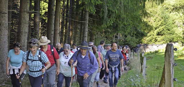 Das Wandern ist des Brgers Lust, im E...et mit Gruppe am Aufstieg zur Gobert.   | Foto: N.Bayer