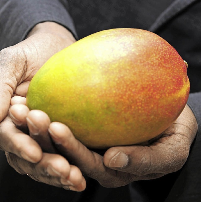 Das Neueste von Buchholzer Feldern: Mangos.   | Foto: Ingo Schneider