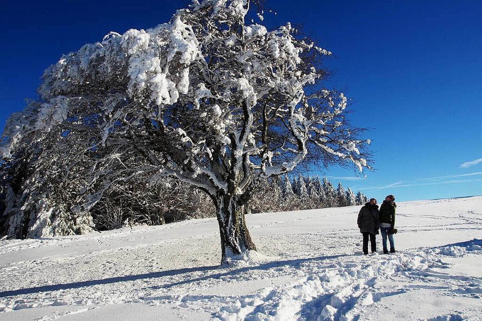 Das Jahr legte einen Bilderbuchstart hin. Zumindest auf den Bergen, wie hier auf dem Schauinsland, gab’s am Neujahrstag reichlich Schnee und Sonne pur. (Foto: Markus Donner) Das Jahr legte einen Bilderbuchstart hin. Zumindest auf den Bergen, wie hier auf dem Schauinsland, gab’s am Neujahrstag reichlich Schnee und Sonne pur. (Foto: Markus Donner)