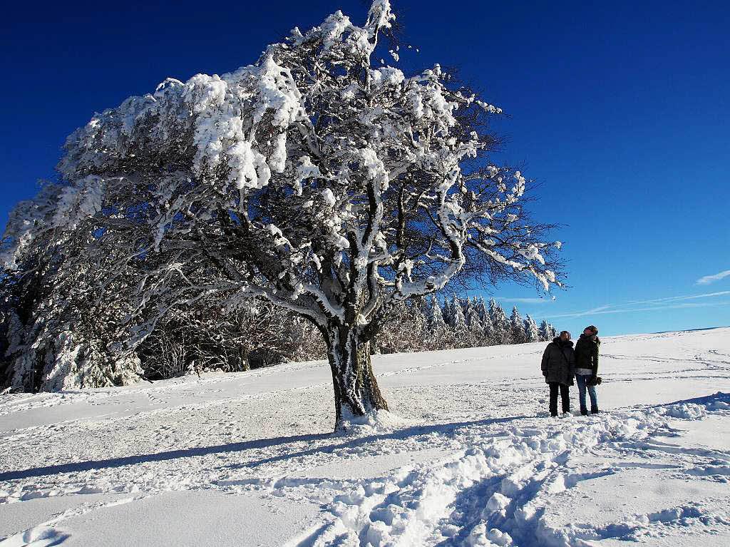 Das Jahr legte einen Bilderbuchstart hin. Zumindest auf den Bergen, wie hier auf dem Schauinsland, gab’s am Neujahrstag reichlich Schnee und Sonne pur.