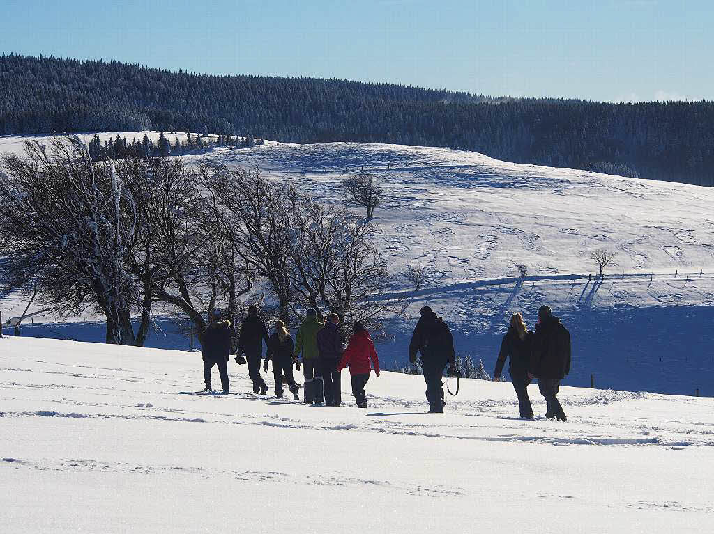 Das Jahr legte einen Bilderbuchstart hin. Zumindest auf den Bergen, wie hier auf dem Schauinsland, gab’s am Neujahrstag reichlich Schnee und Sonne pur.