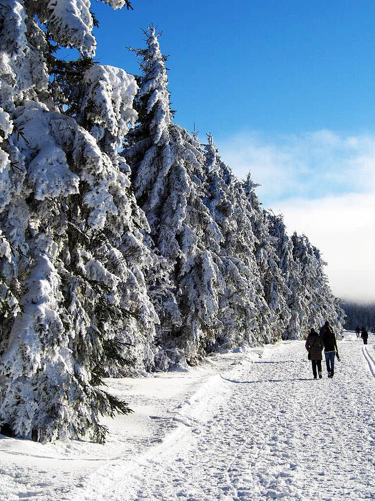 Das Jahr legte einen Bilderbuchstart hin. Zumindest auf den Bergen, wie hier auf dem Schauinsland, gab’s am Neujahrstag reichlich Schnee und Sonne pur.