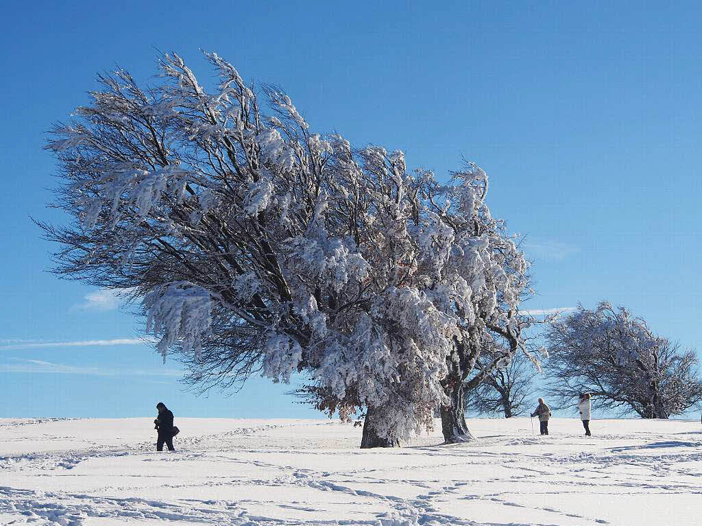 Das Jahr legte einen Bilderbuchstart hin. Zumindest auf den Bergen, wie hier auf dem Schauinsland, gab’s am Neujahrstag reichlich Schnee und Sonne pur.