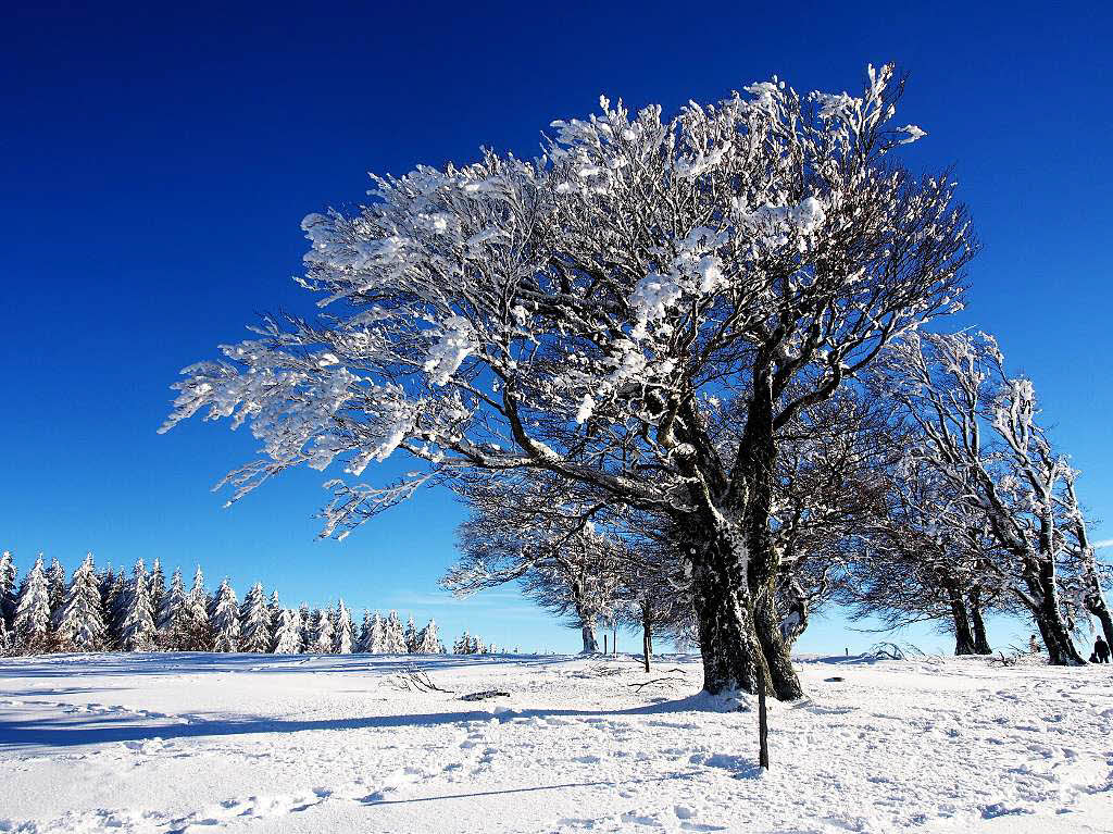 Das Jahr legte einen Bilderbuchstart hin. Zumindest auf den Bergen, wie hier auf dem Schauinsland, gab’s am Neujahrstag reichlich Schnee und Sonne pur.