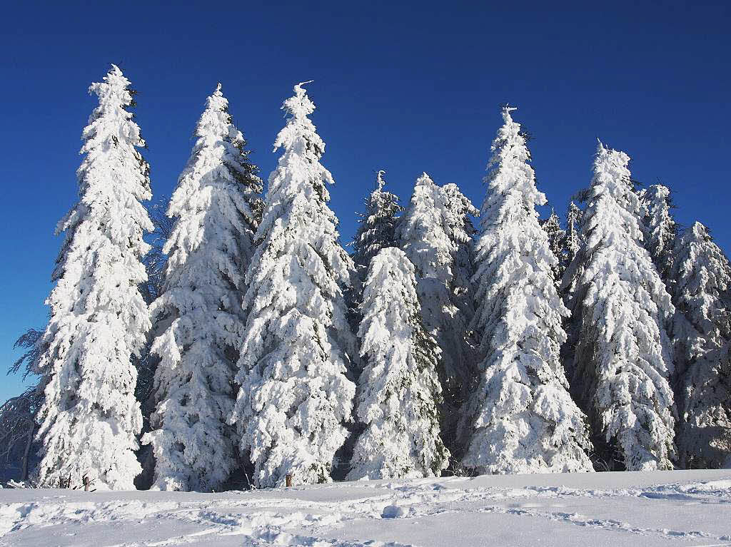 Das Jahr legte einen Bilderbuchstart hin. Zumindest auf den Bergen, wie hier auf dem Schauinsland, gab’s am Neujahrstag reichlich Schnee und Sonne pur.