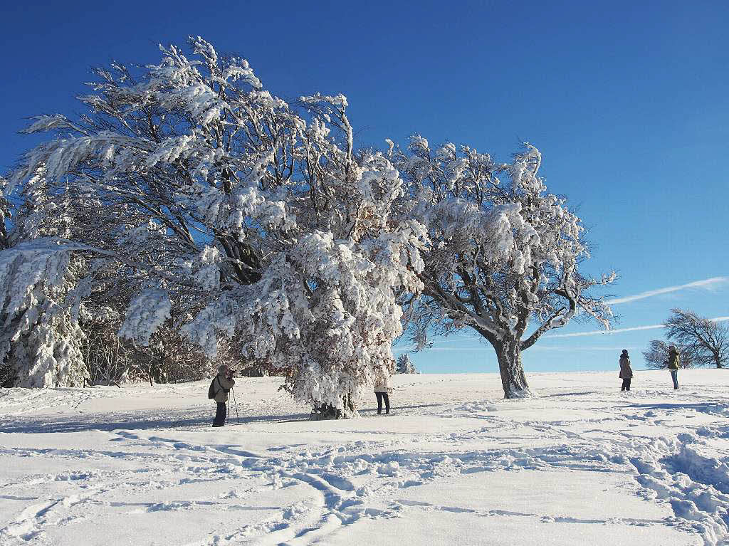 Das Jahr legte einen Bilderbuchstart hin. Zumindest auf den Bergen, wie hier auf dem Schauinsland, gab’s am Neujahrstag reichlich Schnee und Sonne pur.