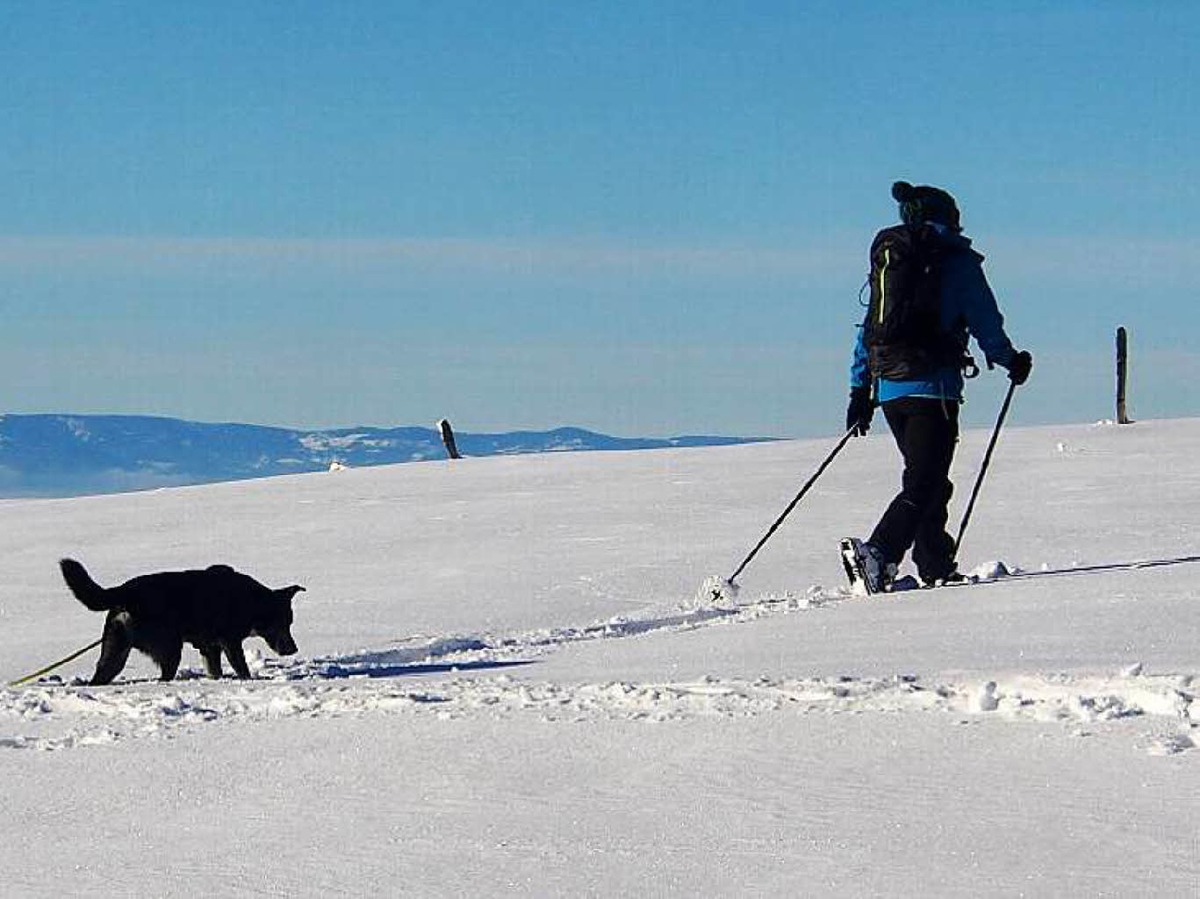 Das Jahr legte einen Bilderbuchstart hin. Zumindest auf den Bergen, wie hier auf dem Schauinsland, gab’s am Neujahrstag reichlich Schnee und Sonne pur.