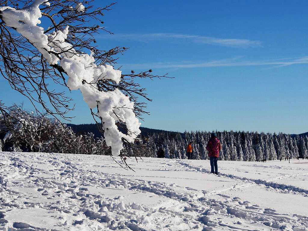 Das Jahr legte einen Bilderbuchstart hin. Zumindest auf den Bergen, wie hier auf dem Schauinsland, gab’s am Neujahrstag reichlich Schnee und Sonne pur.