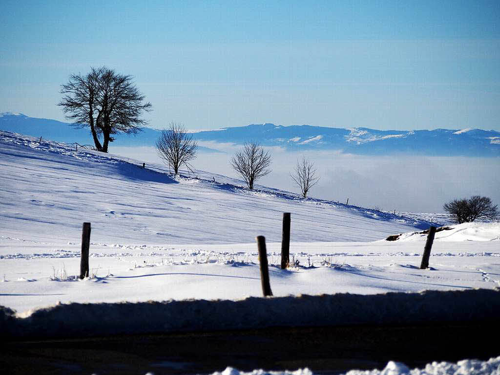 Das Jahr legte einen Bilderbuchstart hin. Zumindest auf den Bergen, wie hier auf dem Schauinsland, gab’s am Neujahrstag reichlich Schnee und Sonne pur.