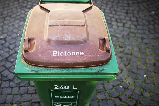 Warum gibt es Biotonnen noch nicht überall?