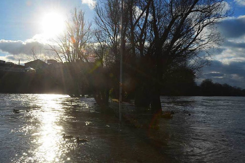 Fotos Hochwasser am Rhein bei Rheinfelden Rheinfelden Fotogalerien Badische Zeitung