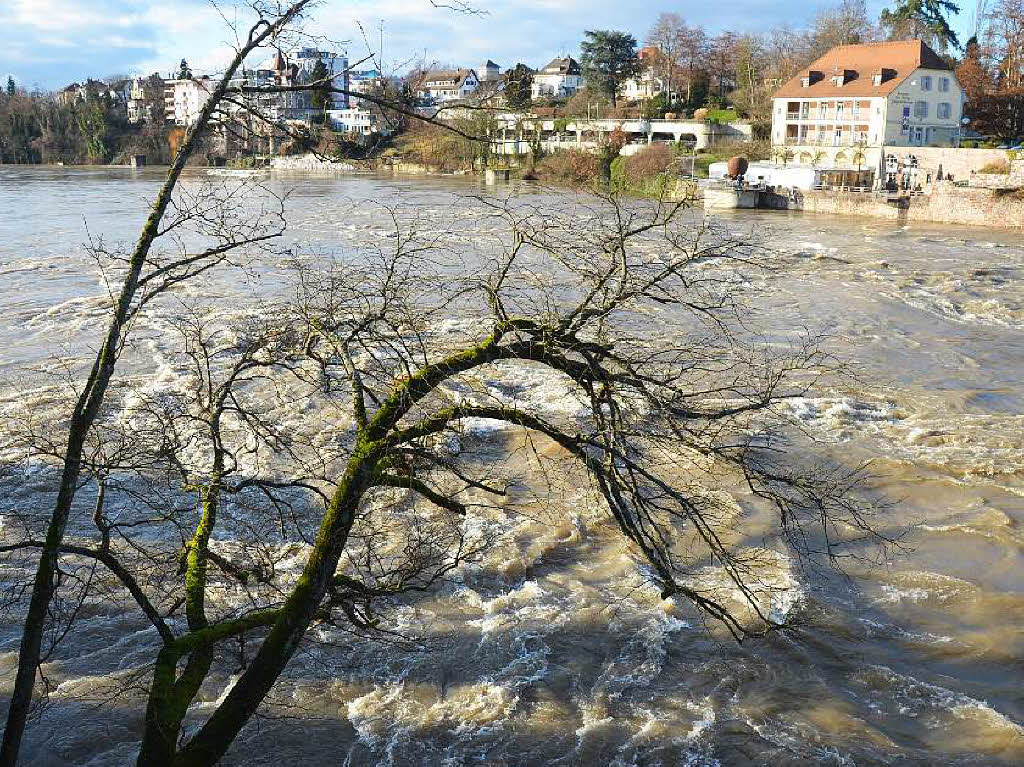 Ein Naturschauspiel bot das Hochwasser am Rhein bei Rheinfelden.