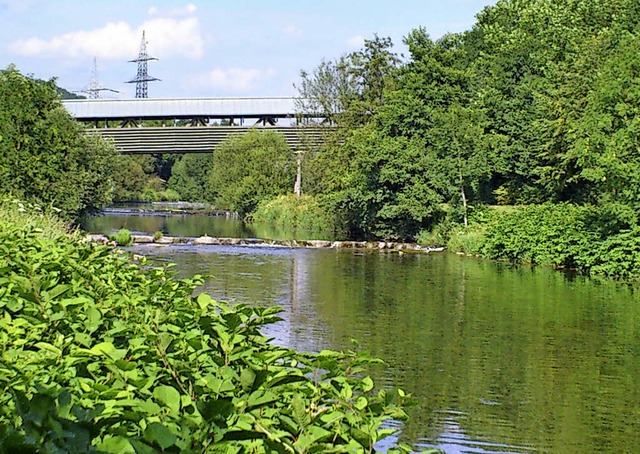 Die Wiese  auf Hhe des Grttparks   | Foto: Maja Tolsdorf