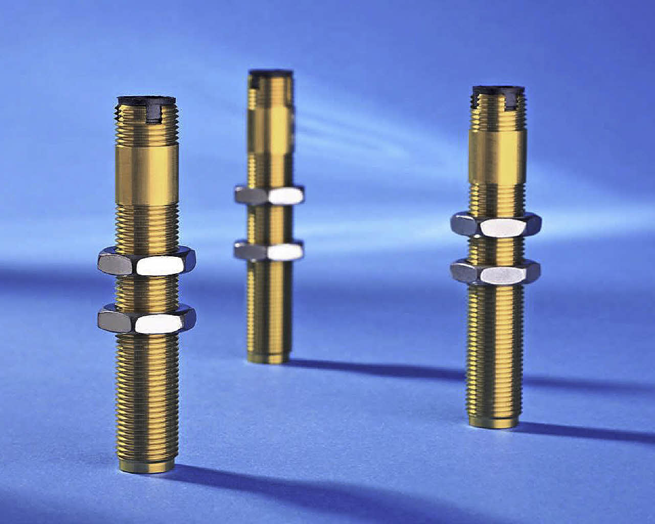 Immer die richtige Drehzahl Kollektive Badische Zeitung