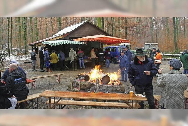 Kurz nach der Holzversteigerung zerstrt ein Baum die Grether-Htte