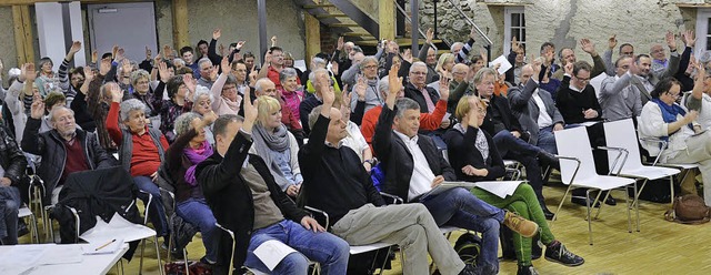 Reger Zuspruch: Grndungsversammlung der Brgergemeinschaft Oberried   | Foto: Alexandra Wehrle