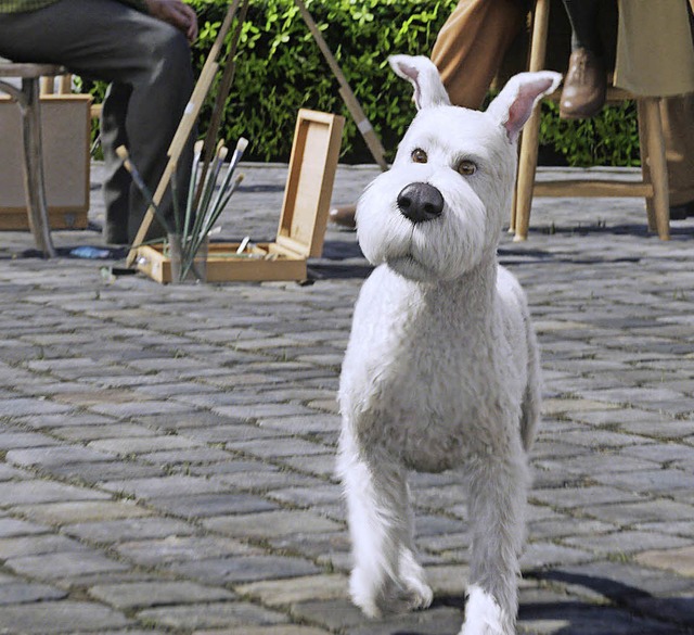 Foxterrier Struppi, treuer Begleiter von Tim   | Foto: dpa