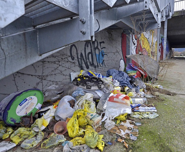 Mllhaufen an der Ochsenbrcke   | Foto: Michael Bamberger