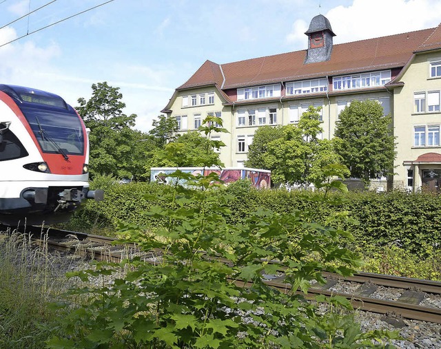 Noch offen: Dem berqueren der Bahngleise wurde bisher kein Riegel vorgeschoben.  | Foto: Andr Hnig