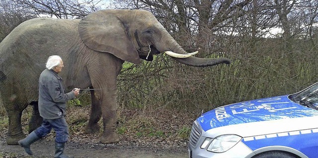   | Foto: Polizei