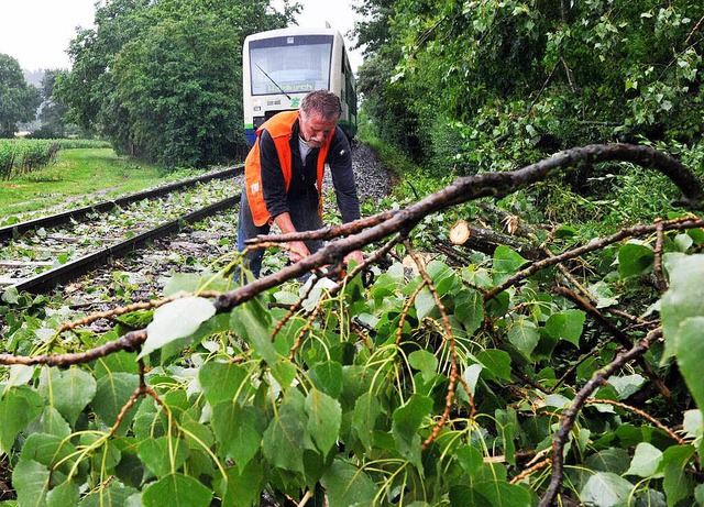 Baum auf dem Gleis? Keine Seltenheit. ... Unwetters die Elztalbahn blockierten.  | Foto: dpa