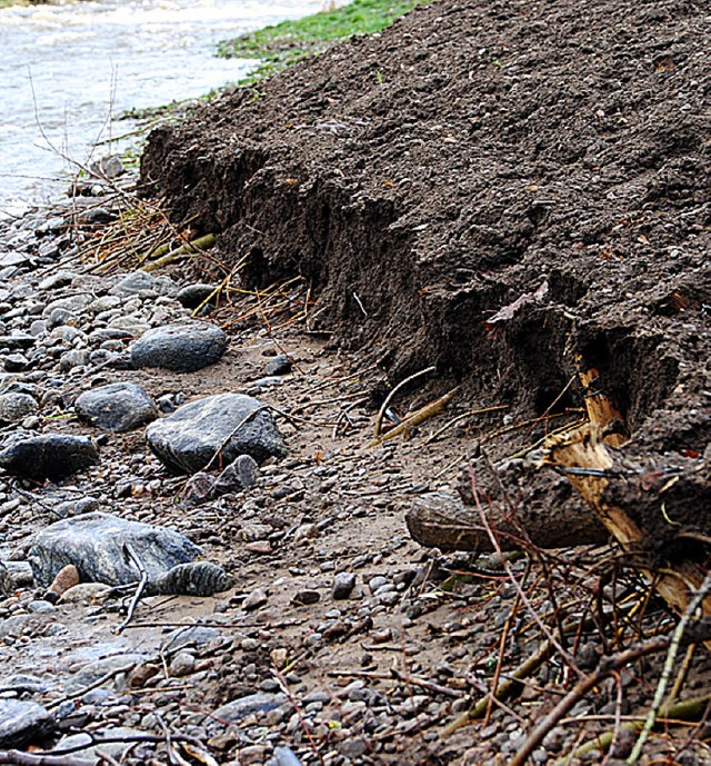 Hochwasser hat  Anfang Januar die Erda...t, doch das Weidengeflecht sitzt fest.  | Foto: Manfred Frietsch