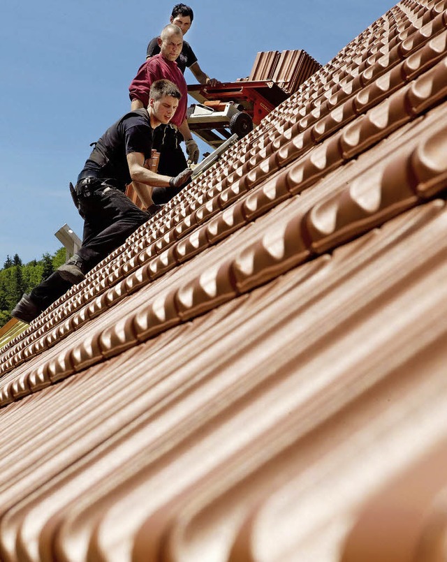 In der Regel kein Problem ist die Dach...el nicht immer jedermanns Sache sind.   | Foto: Dpa