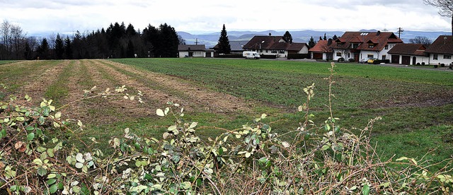 Nrdlich des Sennhofweges  im Rickenba...mit einer Gesamtflche von 1,1 Hektar.  | Foto: hrvoje miloslavic