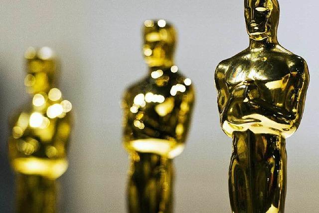 Fotos: Die Nominierungen fr den Oscar 2015