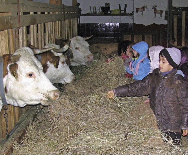 Landwirtschaft im Mnstertal: Kinder f... &#8222;s&#8217;Eckers&#8220; mit Heu.  | Foto: Manfred Lange