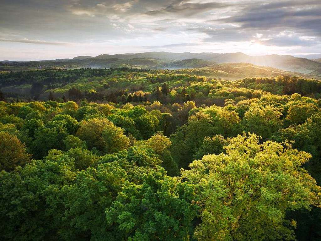 Motiv 8: Sonnenaufgang vom Eichbergturm aus 