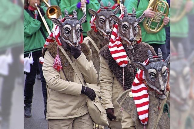 Kleggau Narrentreffen in Weizen