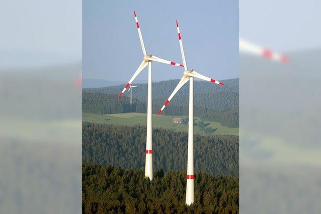 Genossenschaft kritisiert den Entwurf des Teilregionalplans Windkraft