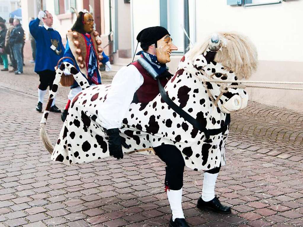 Der Hagen wurde an der Leine durch die Ettenheimer Altstadt gefhrt.