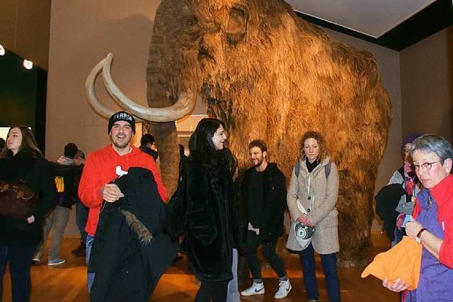 Regen hat Besucher der Basler Museumsnacht abgeschreckt