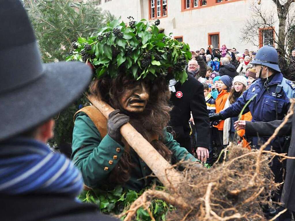 Impressionen vom Vogel Gryff 2015