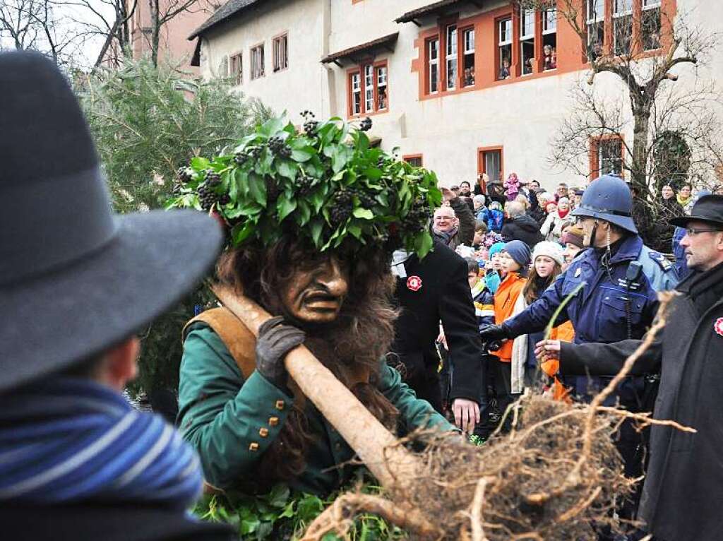 Impressionen vom Vogel Gryff 2015