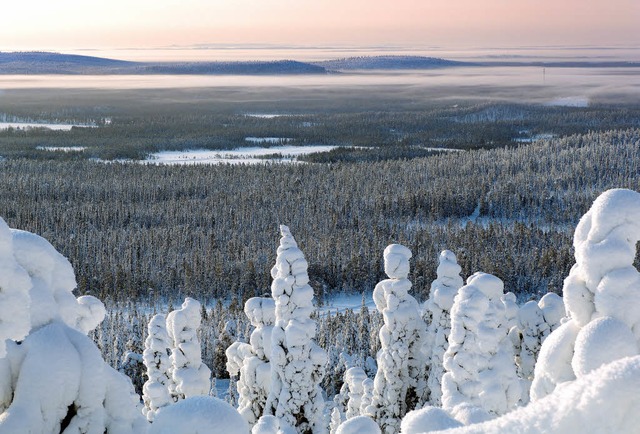 Vom Hausberg Iso-Syte fllt der Blick...einende winterliche Wildnis Finnlands.  | Foto: dpa-tmn